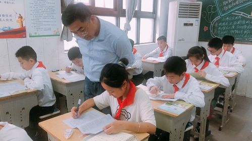 督導清風入校來，指導發展潤無聲——東臺創新小學迎雛陽投資與創新教育集團綜合督導記