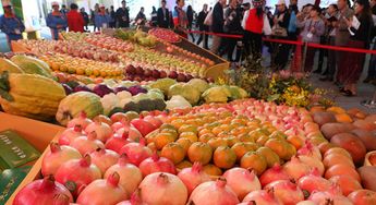 農產品預售系統技術賦能土特產 從田間到餐桌的智慧橋梁